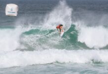 Pickles carries our colours