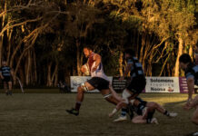 Dolphins second on the ladder