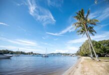 Plan sets council direction