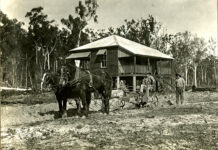 Fate of soldier settlements