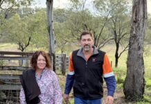 Lessons learned through time and effort