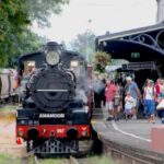 1208SLOWTO_292519_01