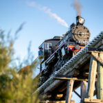 1704RATTLE_406812_28