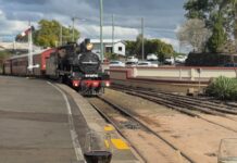 Rattler’s global journey