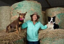 ‘Oh my God’: Lisa’s shock at Logie win