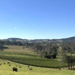 2208FARMTR_496658_37