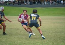 Dolphins in position for finals