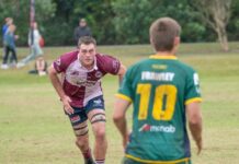 Dolphin seniors make finals