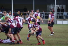 Dolphin juniors play with heart