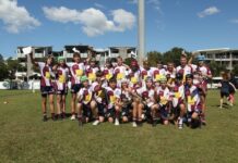 Dolphins seize the day