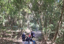 Noosa Christian College Kindy: Little explorers, big discoveries