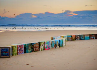 Noosa Open Studios Art Trail keeps on creating