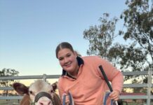 Premium Hereford steer to be auctioned at Ekka in support of Farm Angels