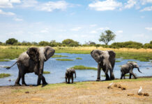 Unforgettable ladies-only adventure to Africa: Only 2 spots left!