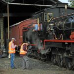 RATTLER_313160_02