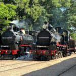 RATTLER_317241_03