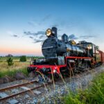 Rattler_422487_01