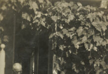 Tewantin State School celebrates 150th