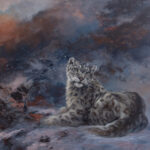 art_492492_02
