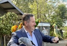 Maleny gardens a top attraction