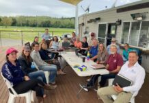 Hooves of steel, hearts of gold