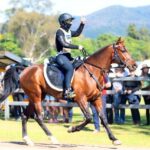 3006TQGOLD_343406_01