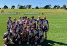 Dolphins grand finals victory