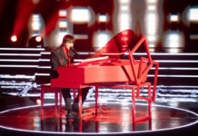 Imagine takes over Noosa foreshore