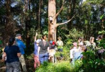 Sunshine Coast Spring school holiday fun guide