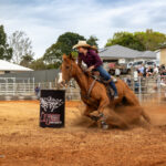 NT19SEP25_503466_09-1