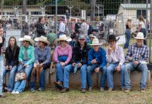 Noosa Country Show draws crowds for 2025 ‘Seasons’ celebration