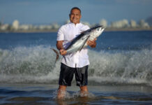 Serve up your ideas for The Curated Plate 2026