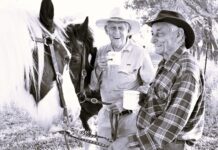 Winning photos capture heart and soul of the bush