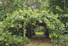 Garden Party tickets on sale to raise funds for Santa’s Classy Helpers