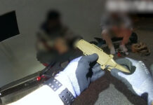 Weapons and drugs seized in Sunshine Coast police patrols