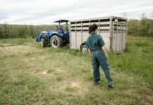 Apply now for 2026 Rural Women’s Award