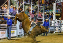 An event to travel for