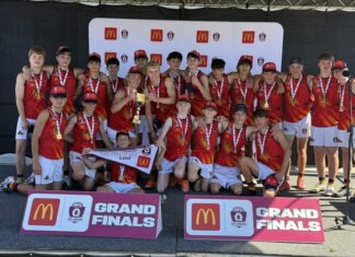 Mixed results for Tigers