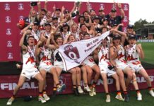 Tiger colts king of the jungle