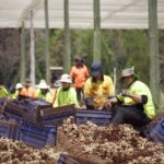 1010FARMGA_504388_21