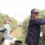 1010FARMGA_504388_24