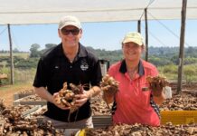 Farmgate Backpackers leads with integrity amid industry challenges