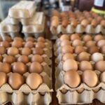 1710BAMBOO_509743_10-1