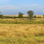 1710HUGHES_505051_06-1