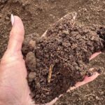 1710HUGHES_505051_13-1