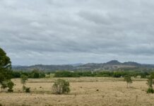 A taste of the future