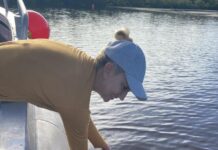 Understanding bull sharks