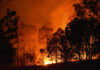New ways to prevent bushfire disaster
