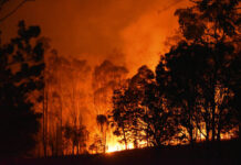 New ways to prevent bushfire disaster
