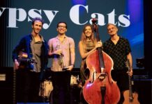 The fabulous Gypsy Cats